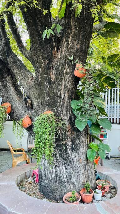 A Luxury Duplex In Dili City, Timor-Leste Eksteriør bilde